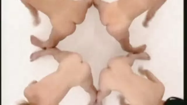انجمن بدون ثبت نام  سوار بر زمین عکس زن و مرد سکسی ...