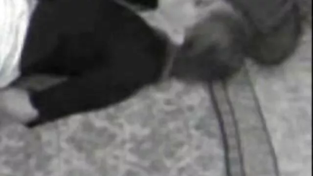 انجمن بدون ثبت نام  ریحانا ساموئل صبح سرگرمی شبانه را ادامه می تصاویر سکسی زنانه دهد